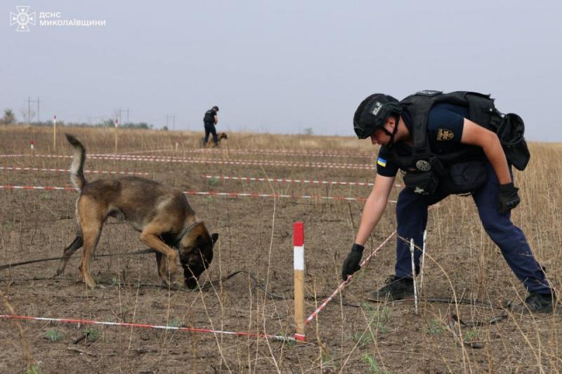 Арні проводить розмінування українських територій (ФОТО)