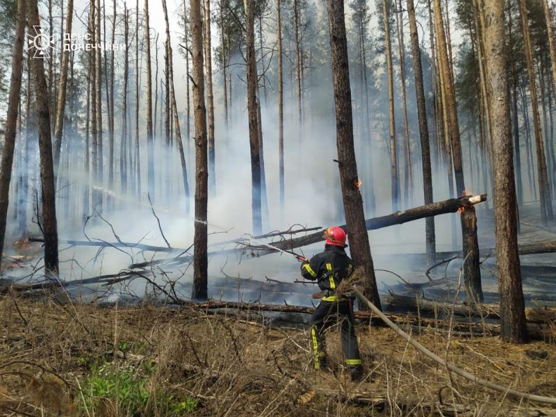 ДСНС ліквідувала велику пожежу в національному парку Святі гори, розташованому на Донеччині.