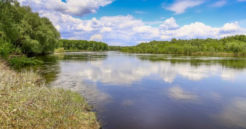 Зона забруднення річки Десна в Чернігівській області розширилася. Що ж наразі відбувається – онлайн.ua