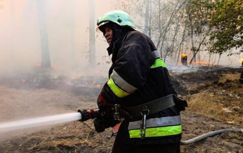 У Харкові, в районі Салтівки, спостерігається пожежа в лісі, яка може загрожувати житловим будинкам.