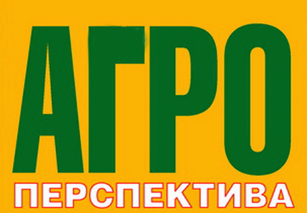 Гречка. Сільськогосподарники України зібрали 124,8 тисячі тонн.