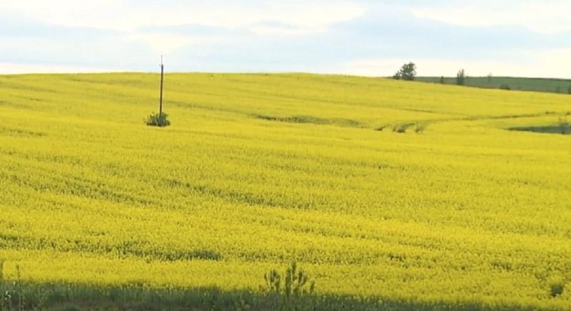 Селяни вражені: які витрати на податок за один гектар землі?