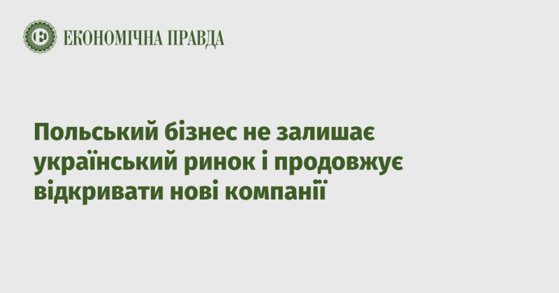 Польські підприємці не покидають український ринок і активно засновують нові компанії.